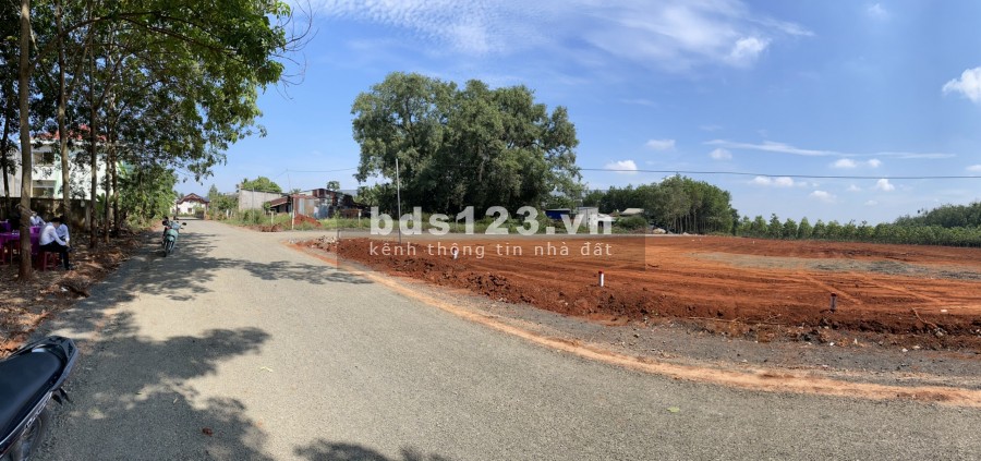 Bán Đất Nền Giá Rẻ Khu Vực Dầu Tiếng, giá bán 650 triệu/nền, lh 0962838196