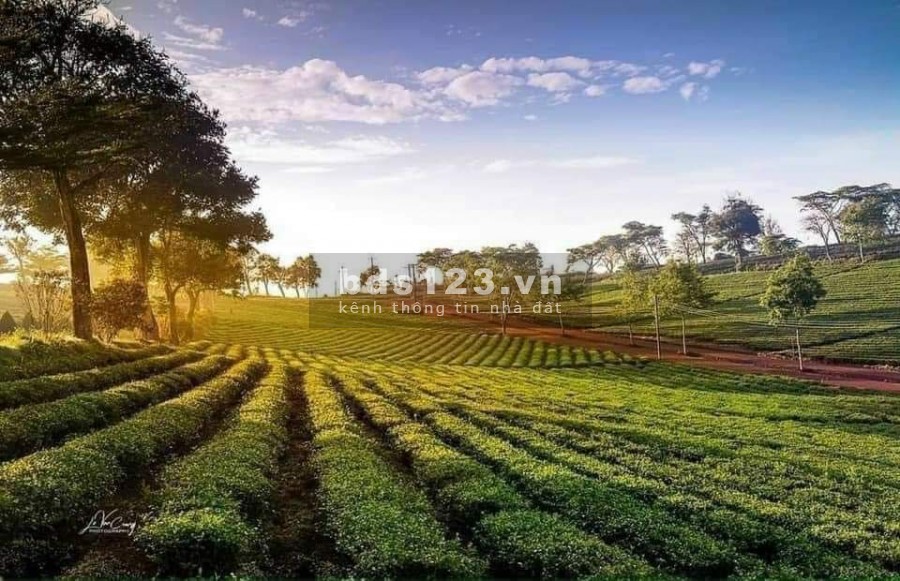 Đất Nền Nghỉ Dưỡng Nơi Thiên Đường Xanh Nghát, pháp lý rõ ràng, minh bạch