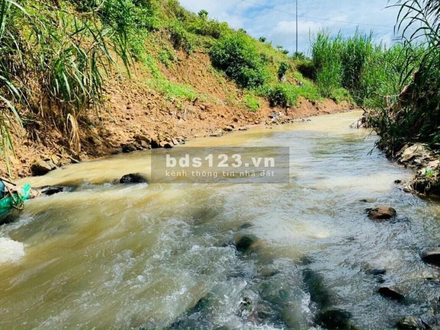 Bán đất nghỉ dưỡng vùng ven đà lạt. view đồi ôm suối tự nhiên. khí hậu mát mẻ