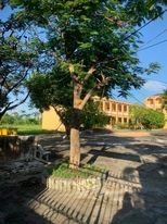Bán nhanh trường học tại Lương Bằng Kim Động Hưng Yên, giá bán 12 tỷ
