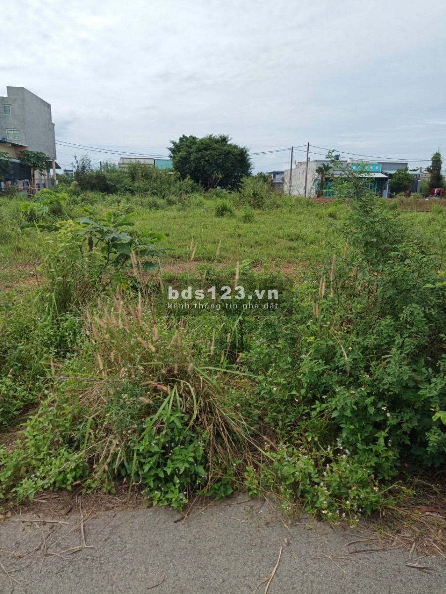 Bán đất giá 1tỷ 350 triệu /1 lô, gần trường học, khu công nghiệp, sổ hồng riêng