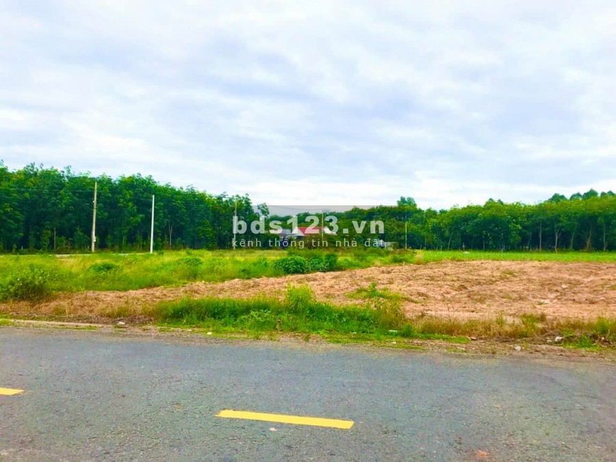Cần bán đất với giá 335 triệu, chính chủ miễn trung gian, thổ cư 100m2