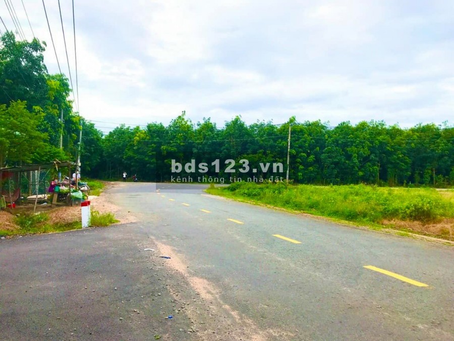 Cần bán đất với giá 335 triệu, chính chủ miễn trung gian, thổ cư 100m2
