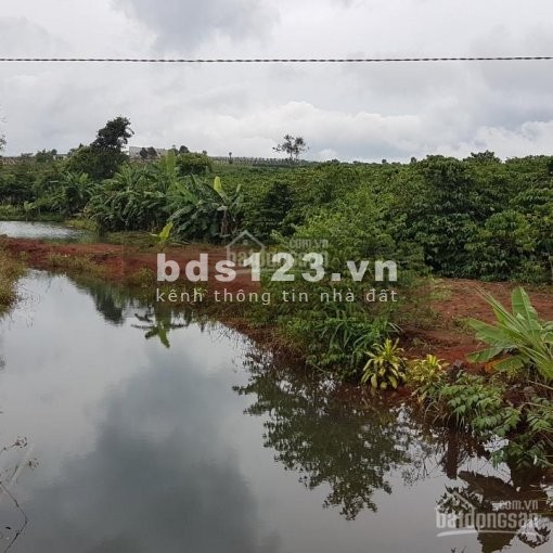 Bán đất 2 mặt tiền tại Bình Phước giá chỉ 4xxtr/1000m2, dân cư bao quanh đông đúc