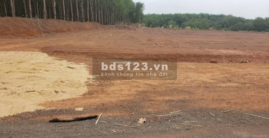 Bán gấp 1011,7m2 giá rẻ ở Đồng Tiến, Bình Phước gần Kcn.