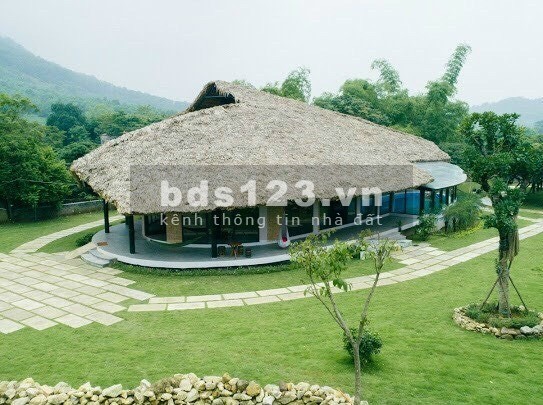Siêu phẩm 3100m sẵn nhà ở đang kd homstay Hoà Sơn Lương Sơn