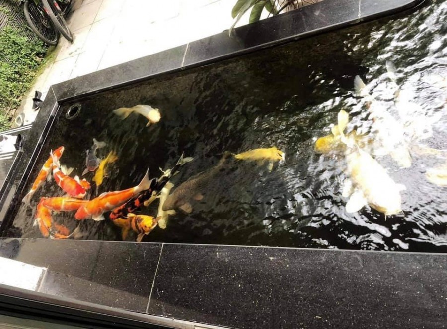 Biệt thự cao cấp Thanh Xuân 150m 6 tầng thang máy vỉa hè 5 ô tô tránh full nội thất