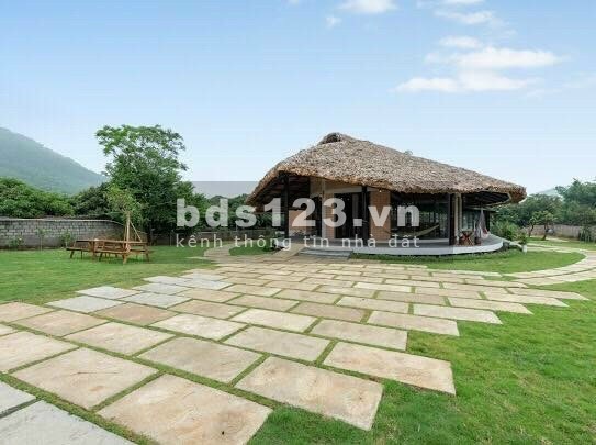 Siêu phẩm 3100m sẵn nhà ở đang kd homstay Hoà Sơn Lương Sơn