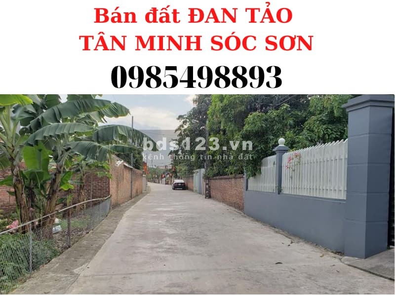 Bán 585m2 - 250m2 - 341m2 - 400m2 đất Tân Minh Sóc Sơn giá rẻ, đường rộng