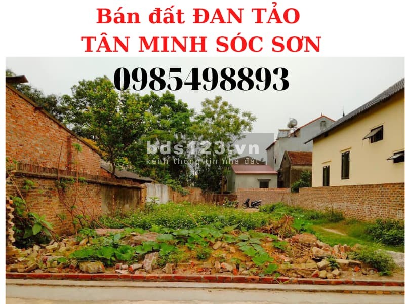 Bán 585m2 - 250m2 - 341m2 - 400m2 đất Tân Minh Sóc Sơn giá rẻ, đường rộng