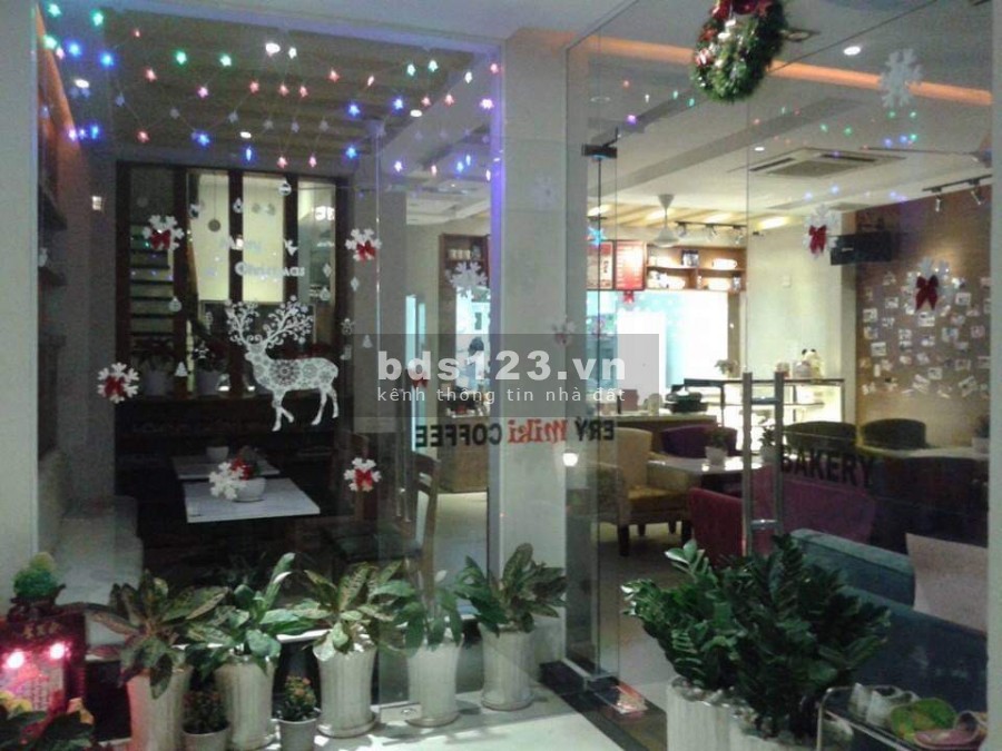 Bán biệt thự số R309 đường D8, khu D2D, p Thống Nhất, Biên Hoà, dt 160m2, giá 25 tỷ