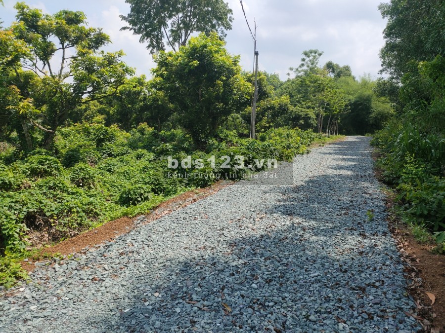 Chỉ cần 220tr có lô đất Bình Phước 1000m2 sổ hồng sẵn, có hỗ trợ vay