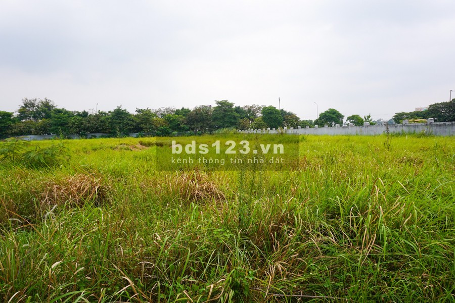 Cho thuê đất kho bãi, café nhà vườn, bể bơi, sân tập golf dt 8000m2 cạnh dự án Khai Sơn Long Biên, HN