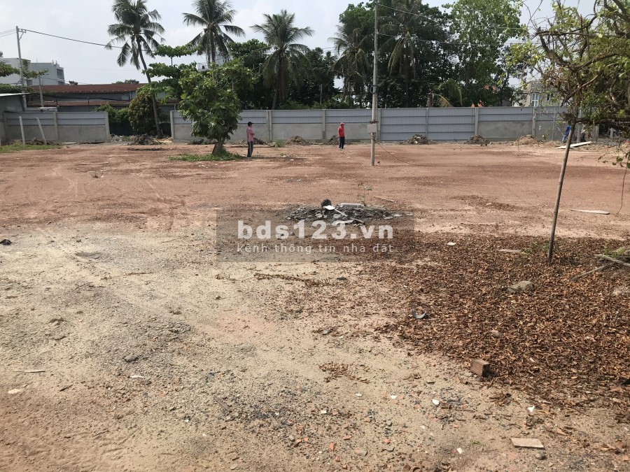 Cho thuê đất trống 3000m², đường An Phú Đông 3 - Q12