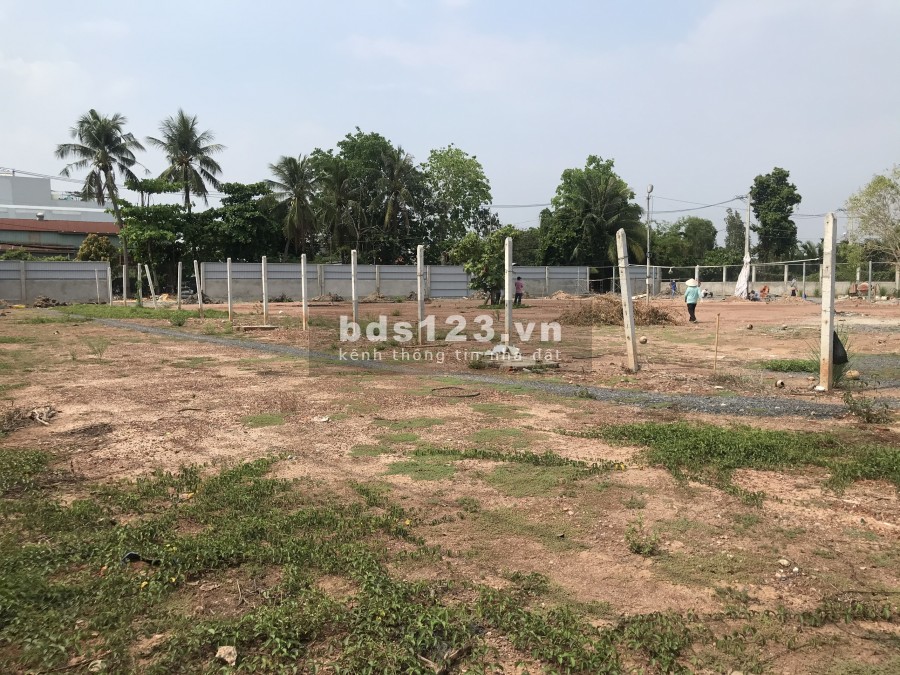 Cho thuê đất trống 3000m², đường An Phú Đông 3 - Q12