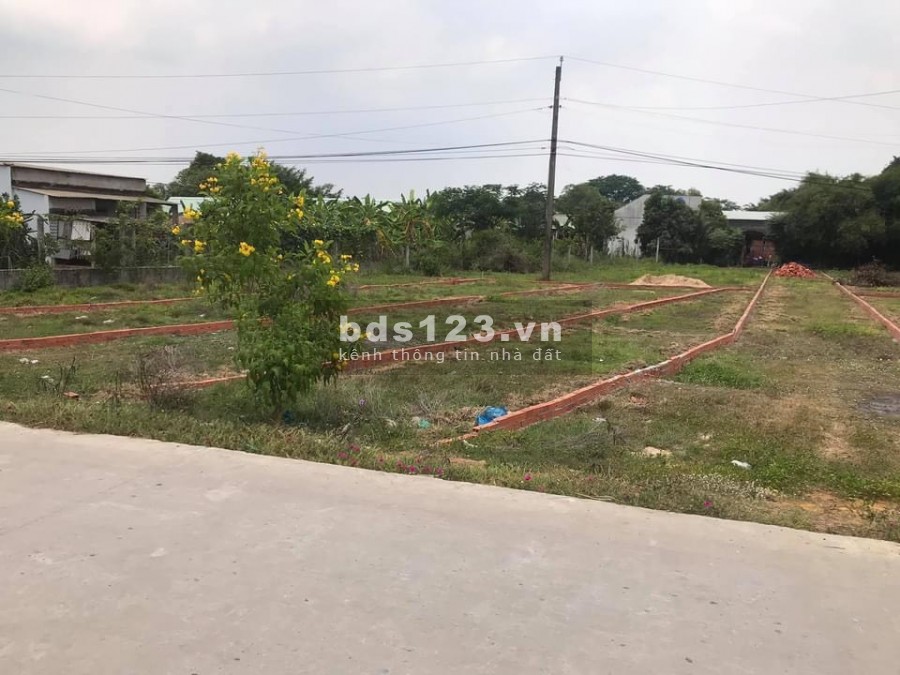 Đất đầu tư không thể bỏ lỡ Mỹ Hạnh Nam 10m x 44m chỉ 3 tỷ