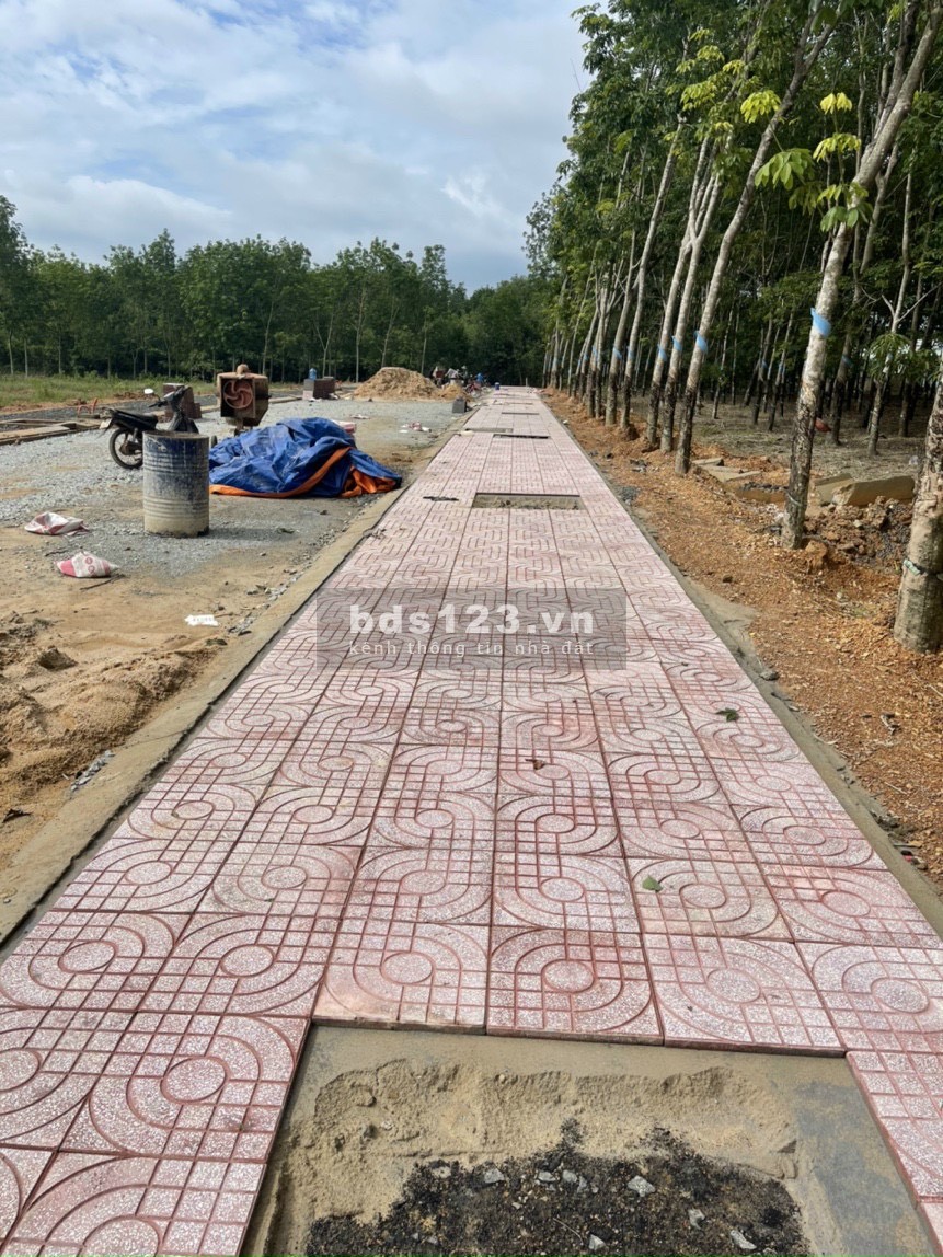 Đất nền dự án Đồng Phú, Bình Phước, sổ riêng, điện âm chỉ từ 620tr/nền