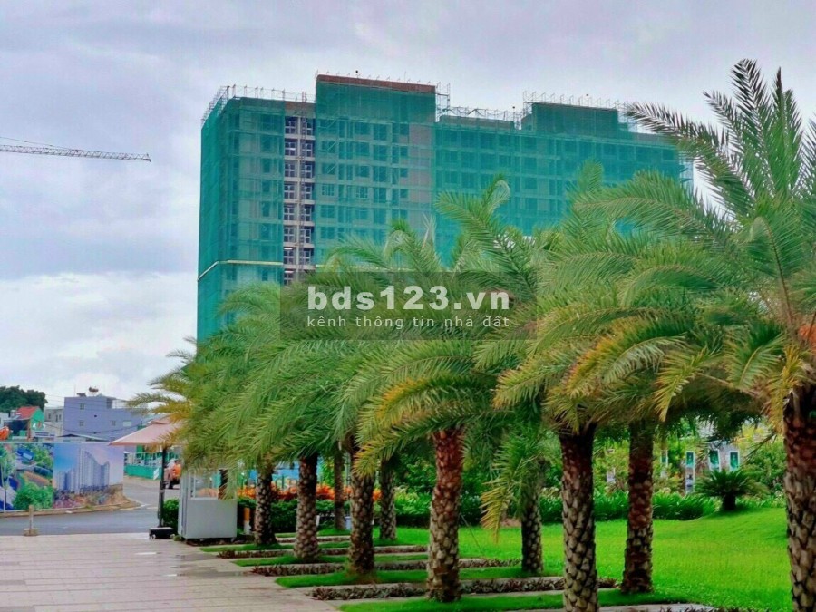 Căn hộ trung tâm Quận 12, thiết kế Smarthome 4.0, tiện ích đẳng cấp, lhcc