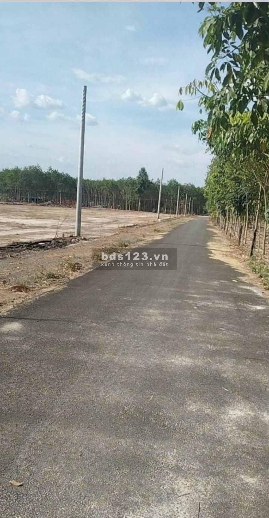 Hết dịch bán gấp lô đất hơn 1000m2/giá giao động 400tr đến 550tr