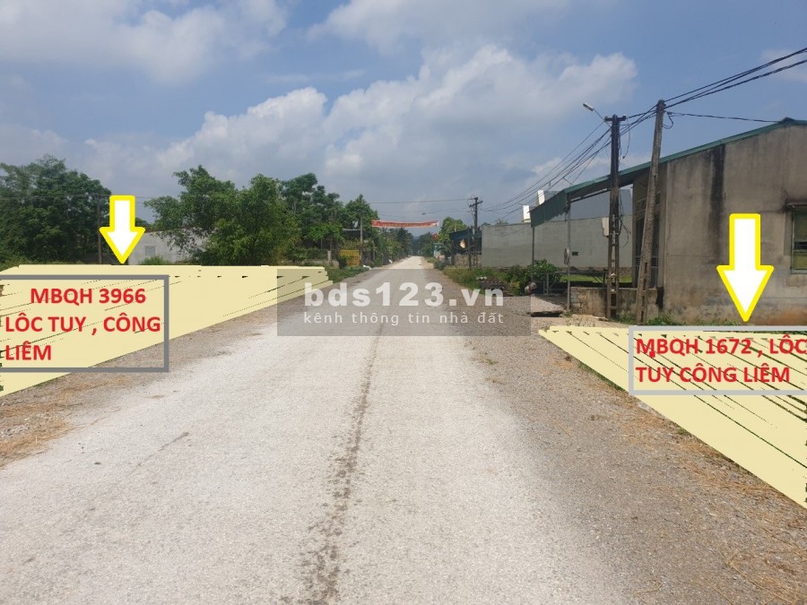 Bán đất chính chủ đấu giá lẻ sổ đỏ từng lô, liên hệ 0943420126