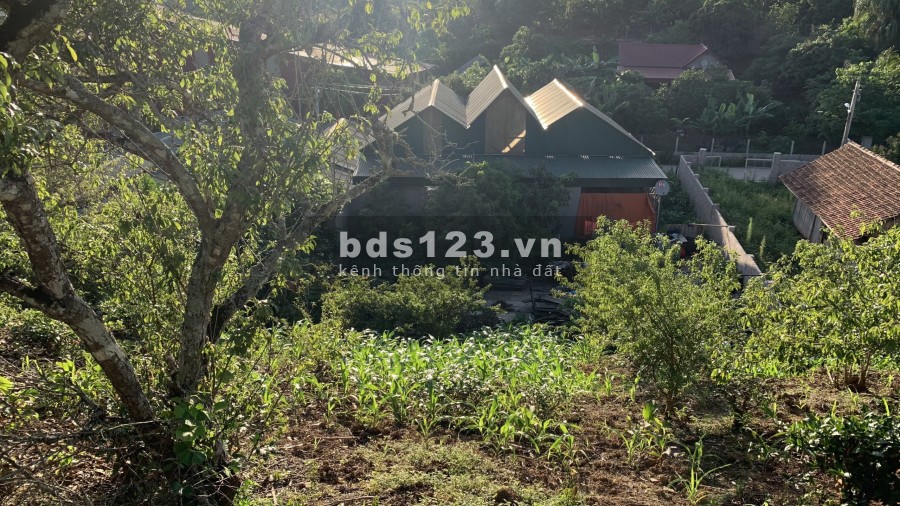 Cần bán nhanh ô đất tại Chiềng Sơn Mộc Châu, đường bê tông rộng 3.5m