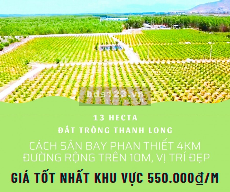 Chính chủ cần bán 13ha đất vườn đang trồng thanh long, cách sân bay Phan Thiết 4km