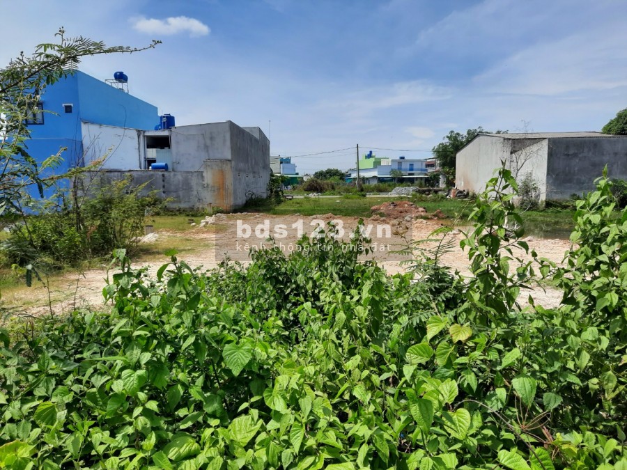 Cần Bán lô đất 250m2 sổ hồng riêng, khu vực dân cư đông, tiện kinh doanh, xây trọ, giá 2 tỷ 5