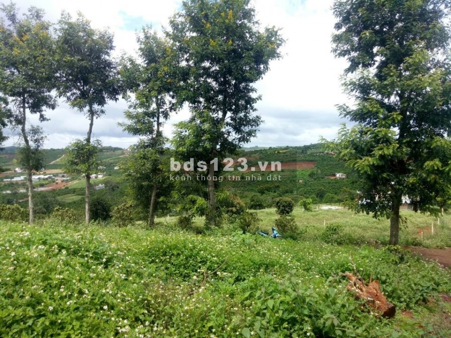 Cần bán 5 nền biệt thự thị trấn nam ban, diện tích trên 300m2 có thổ cư giá chỉ từ 939tr