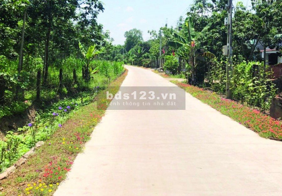 Bán đất nền thổ cư giá Ngộp, có điện, đông dân tại Thanh Phú Bình Long