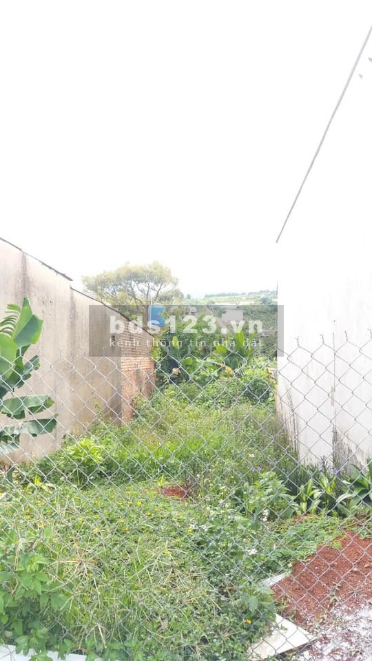 Đất Mặt Tiền Đường Nhựa Diện Tích 5x25M2 Full Thổ Cư Giá 1 tỷ 2