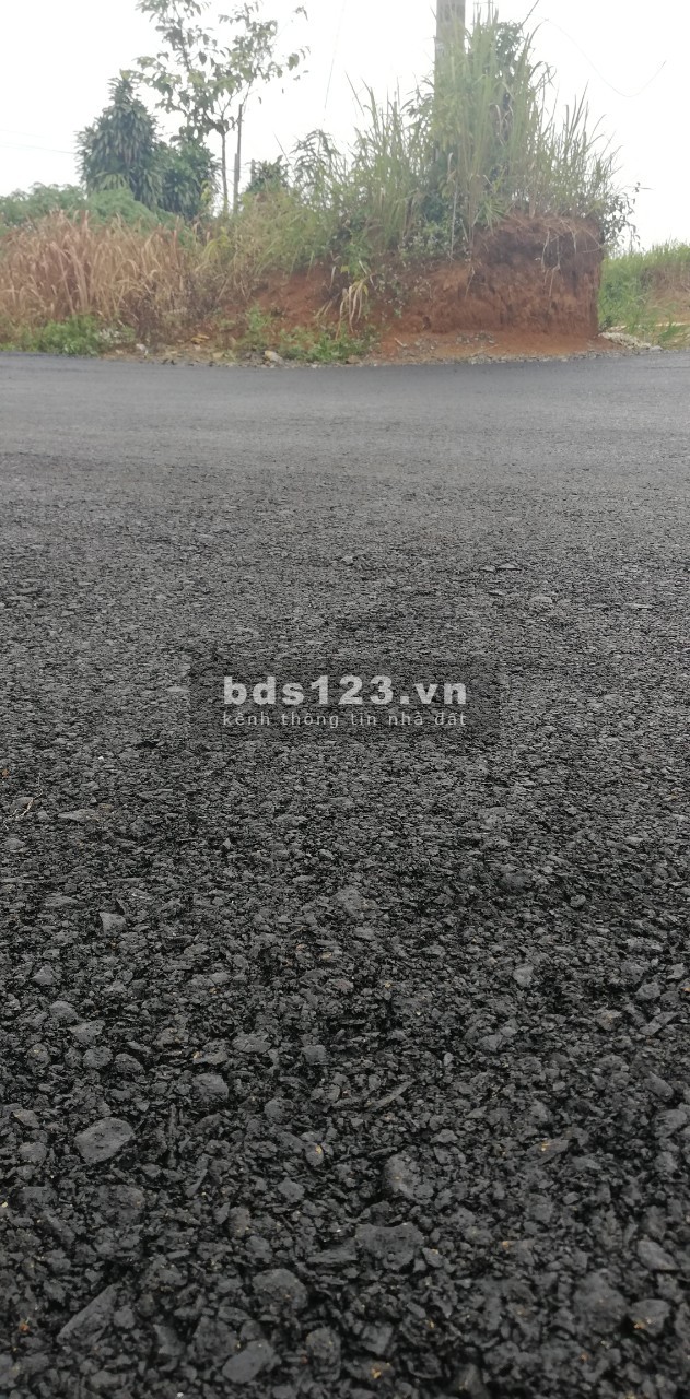 Đất Mặt Tiền Đường Nhựa Diện Tích 5x25M2 Full Thổ Cư Giá 1 tỷ 2