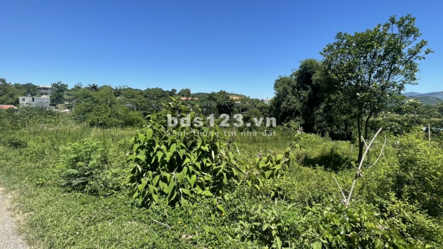 404m full thổ cư view cánh đồng đẹp 2 mặt tiền, xóm Cời Tân Vinh Lương Sơn