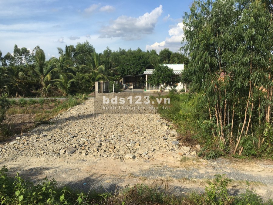 Hàng Ngộp chính chủ gửi bán gấp 240m2 mt Quốc Lộ N2 Hựu Thạnh giá 1,85 Tỷ, SHR