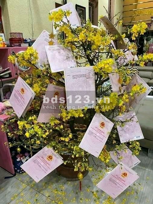 Bán nhà trọ mặt tiền đường lớn 16m, nhà đẹp gồm 14 phòng trọ 2kiot, thu nhập 20 triệu/ tháng chính chủ