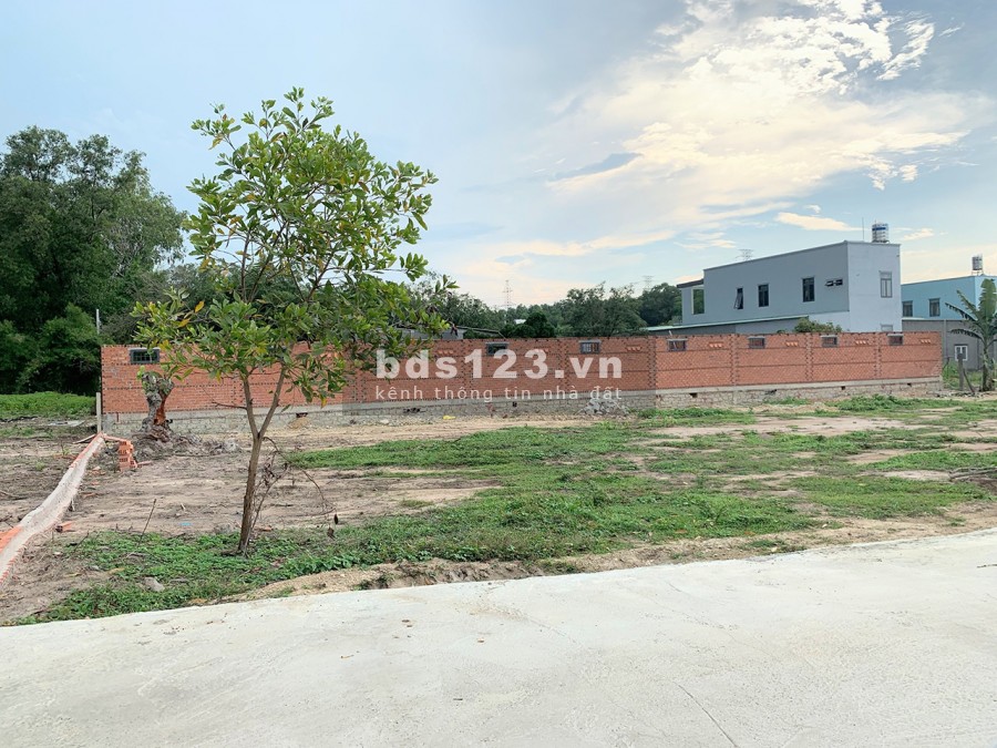 Bán đất nền Tân Phước, gần ngã ba cảng Cái Mép, Sổ đỏ, Giá rẻ, Đường thông 2 đầu