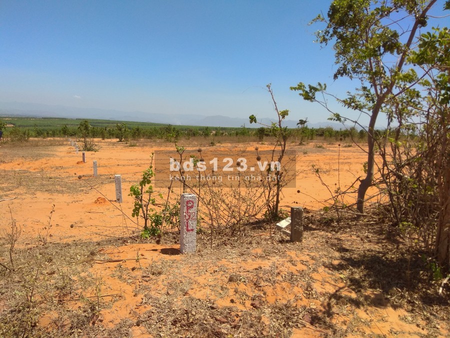Bán 10,175m2 đất nông nghiệp hồng thái gần đường liên huyện và dân cư chỉ 915tr tặng 5 chỉ vàng Lh 0938677909