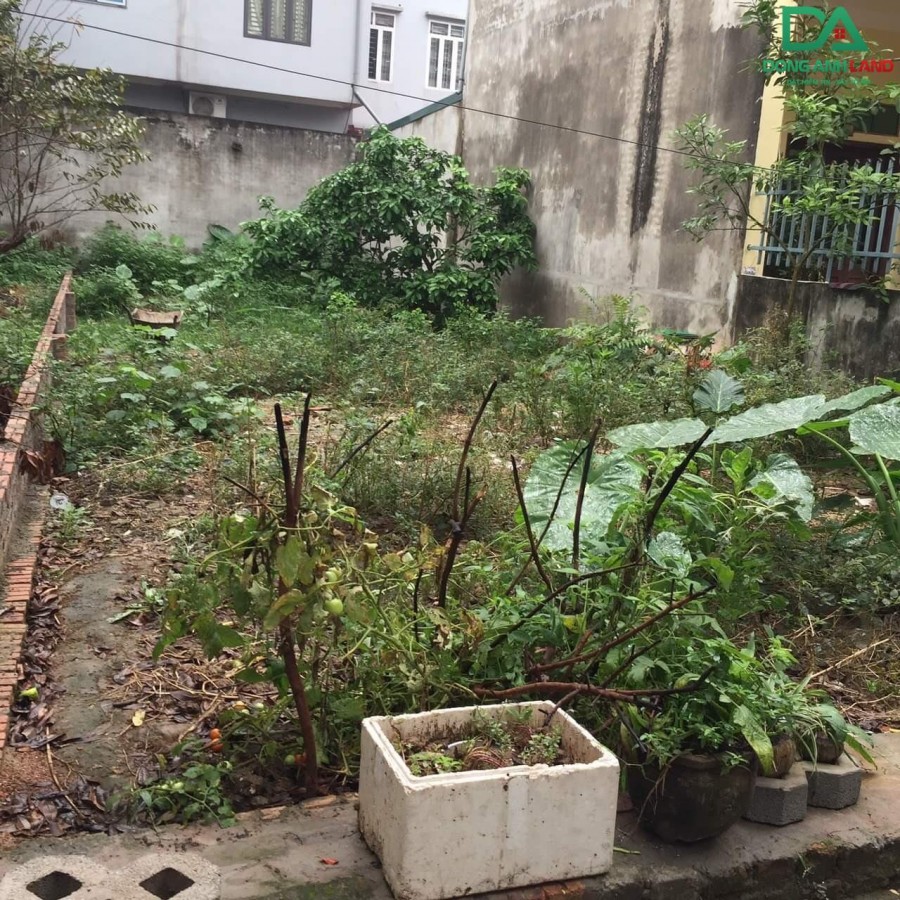 Bán đất Uy Nỗ Đông Anh 130.7m2 thôn Kính Nỗ ô tô vào tận nơi giá rẻ