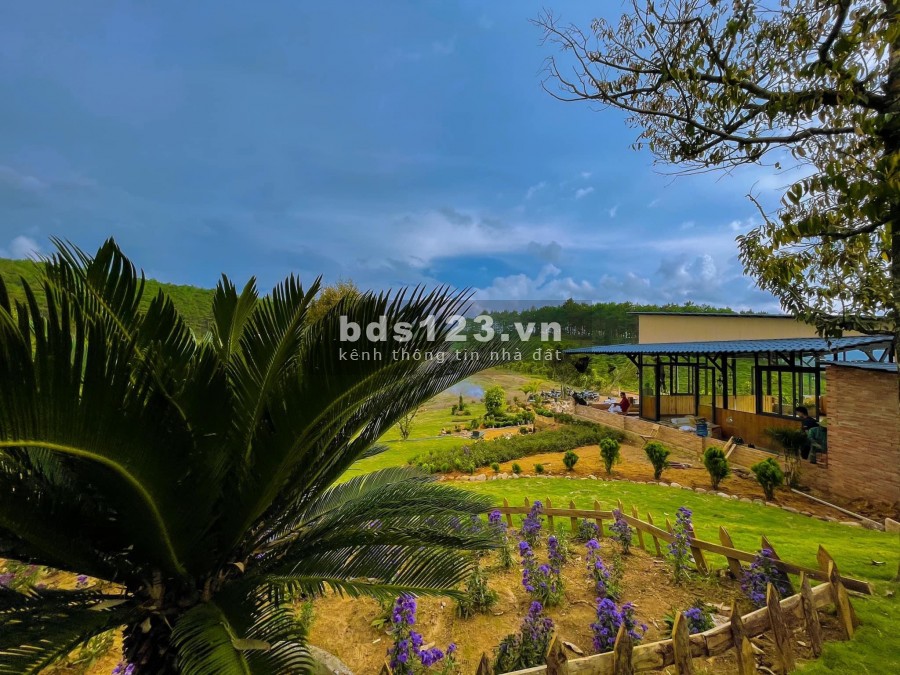 Cần bán 5 nền biệt thự thị trấn nam ban, diện tích trên 300m2 có thổ cư giá chỉ từ 939tr