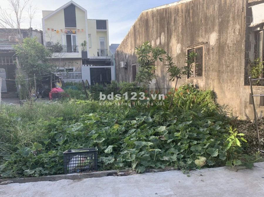 Bán gấp đất kiệt ô tô Phạm Thị Liên 3 mặt tiền, nở hậu LH 0346229509