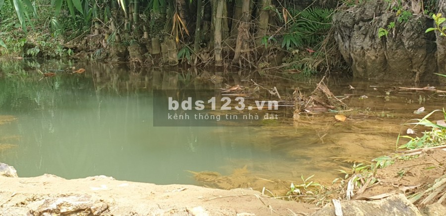 CỰC HOT. Lô đất 8000m sơn thủy hữu tình, vào là mát rượi giá chỉ 3.7 tỷ