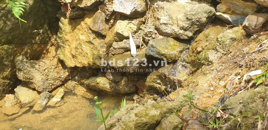 CỰC HOT. Lô đất 8000m sơn thủy hữu tình, vào là mát rượi giá chỉ 3.7 tỷ