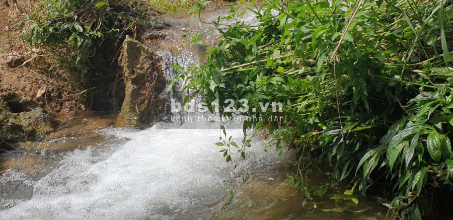 CỰC HOT. Lô đất 8000m sơn thủy hữu tình, vào là mát rượi giá chỉ 3.7 tỷ