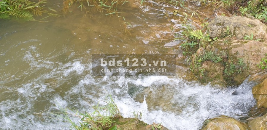 CỰC HOT. Lô đất 8000m sơn thủy hữu tình, vào là mát rượi giá chỉ 3.7 tỷ