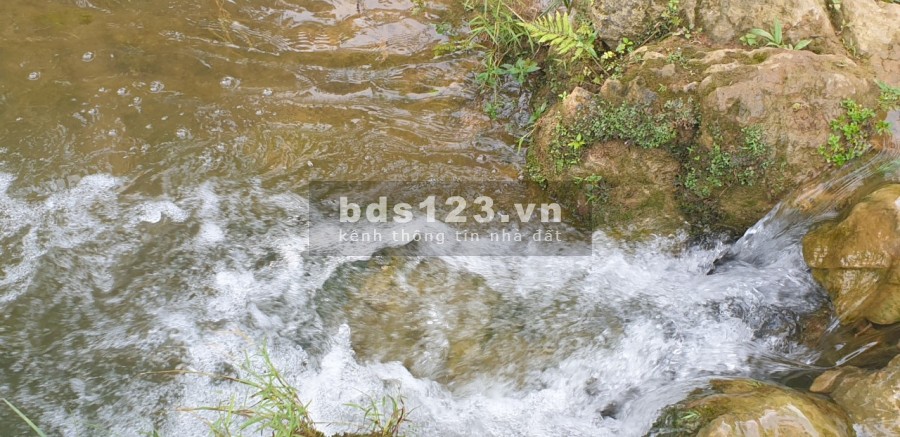 CỰC HOT. Lô đất 8000m sơn thủy hữu tình, vào là mát rượi giá chỉ 3.7 tỷ