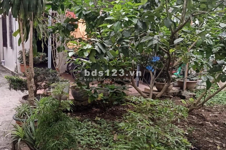 Bán Mảnh Đất Đẹp Phố Kim Quan – Long Biên 70m2, mặt tiền 4,5m; giá 3,4 tỷ