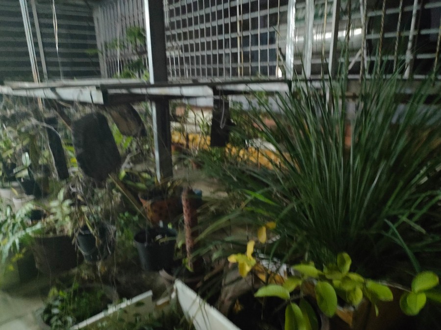 Bán nhà hẻm xe hơi đẹp vào ở luôn, Phạm Thế Hiển Quận 8, dt 69m2, giá 6.7 tỷ