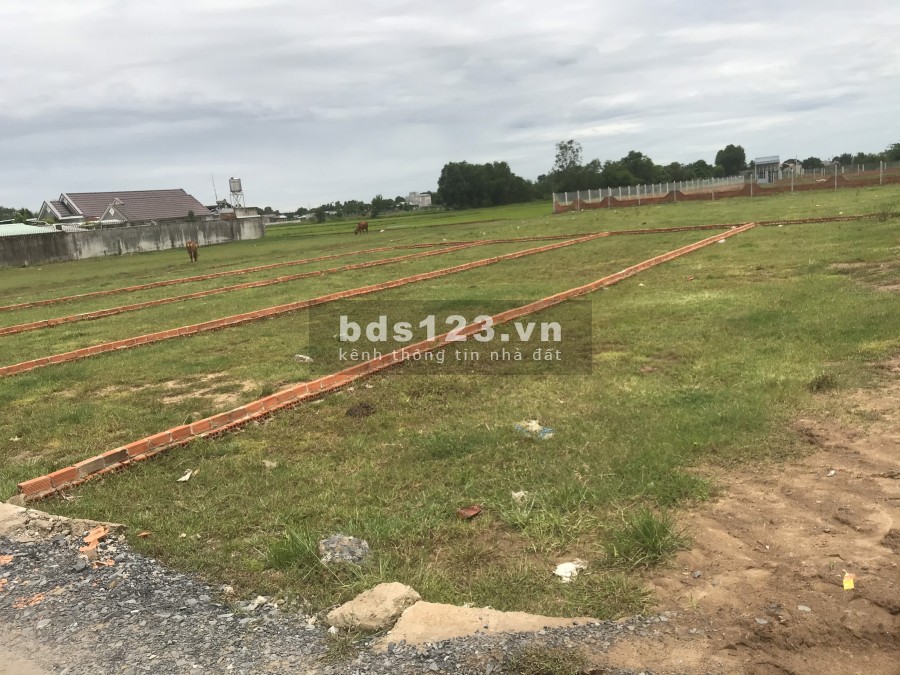 Bán Đất Đức Hòa gần khu công nghiệp Tân Đô Tân Đức giá bán 795 triệu