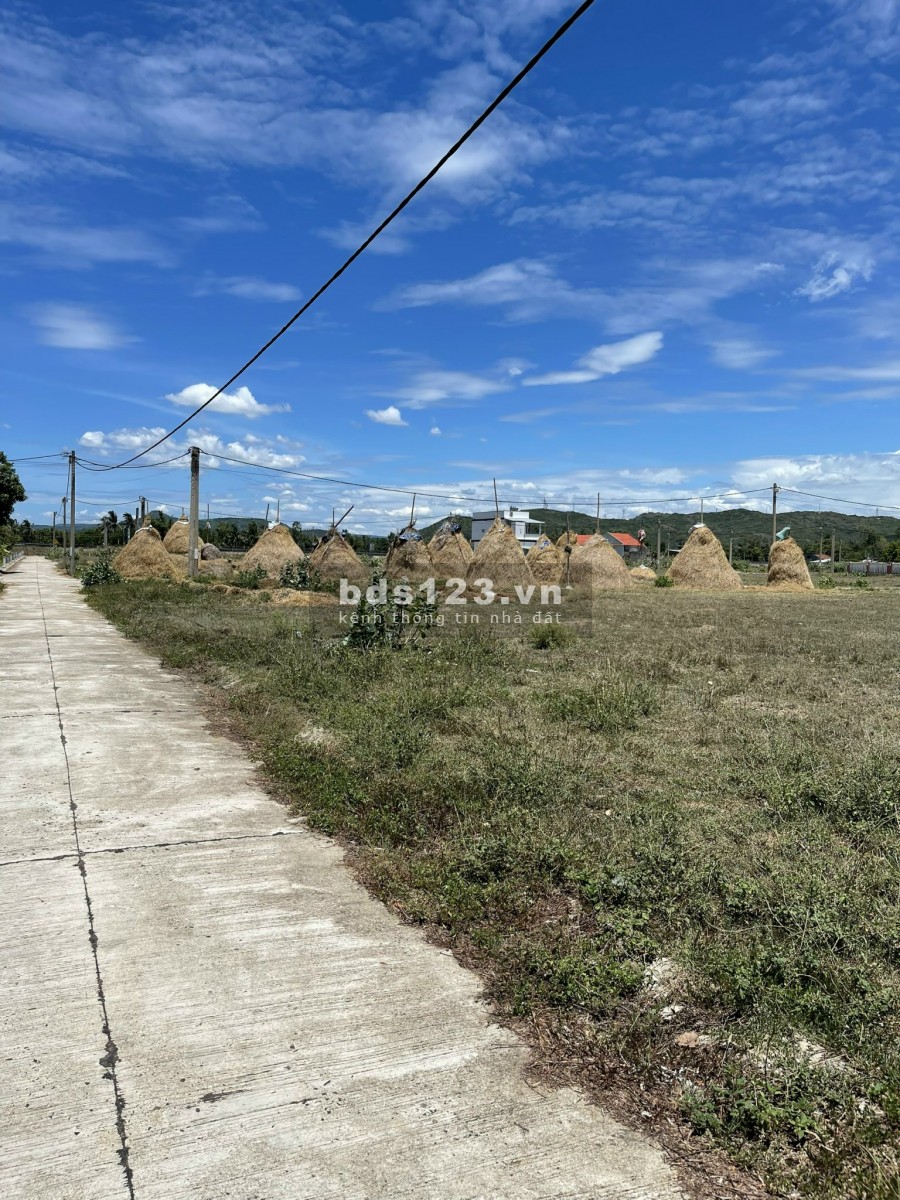 Mỏ Vàng Đầu Tư Của Đất Nền Phú Yên khu dân cư Đồng Đèo, sổ sẵn