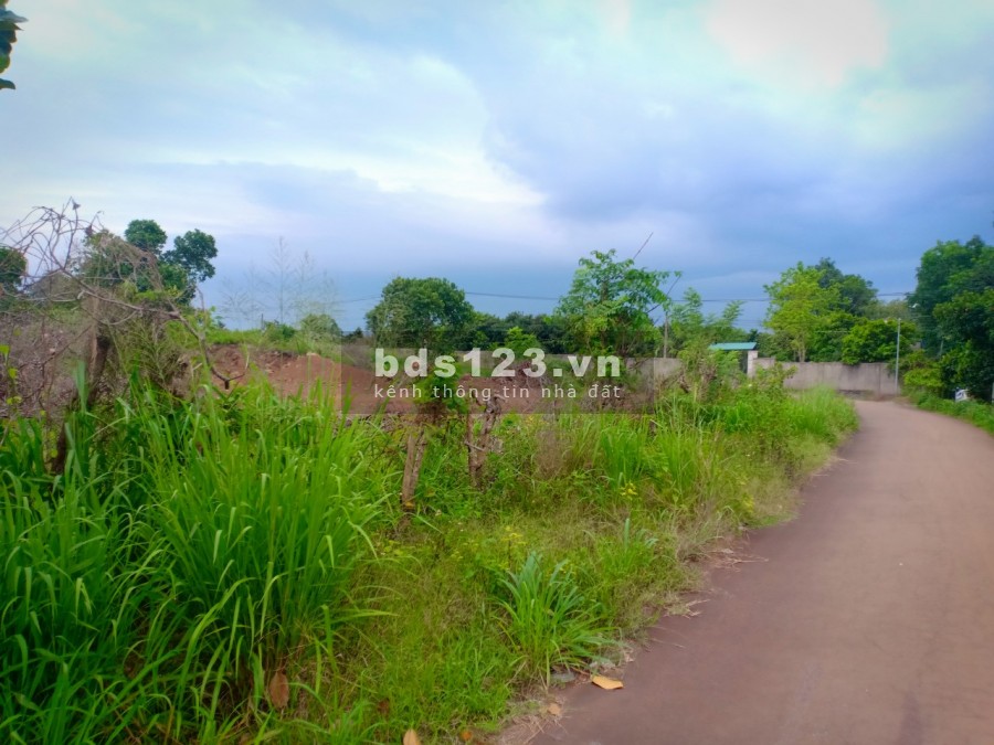 Dự án đất sào 24 nền ở vị trí đắt địa nggay cao tốc Long Thành Dầu Giây