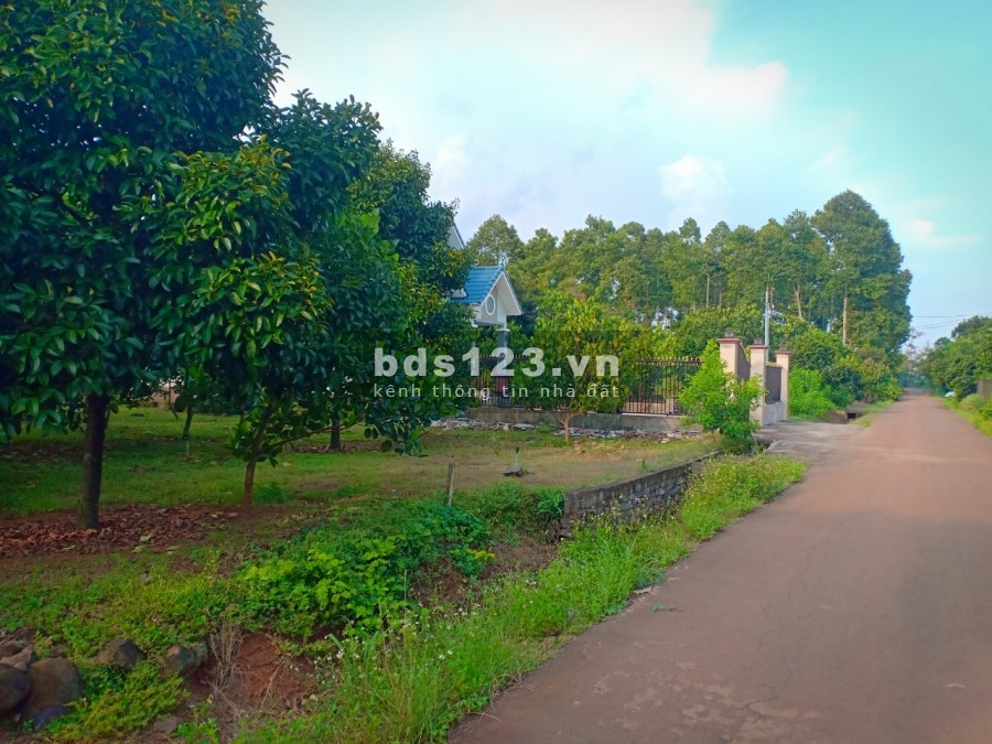Dự án đất sào 24 nền ở vị trí đắt địa nggay cao tốc Long Thành Dầu Giây